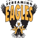 cape breton screaming eagles logo